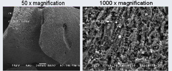 Activated Charcoal Powder under a Microscope